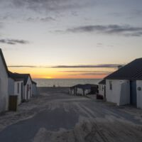 DSC5395